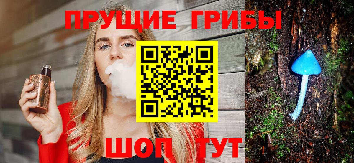 цены наркотик  Псилоцибиновые грибы MAGIC MUSHROOMS  Вход с VPN  Курганинск 