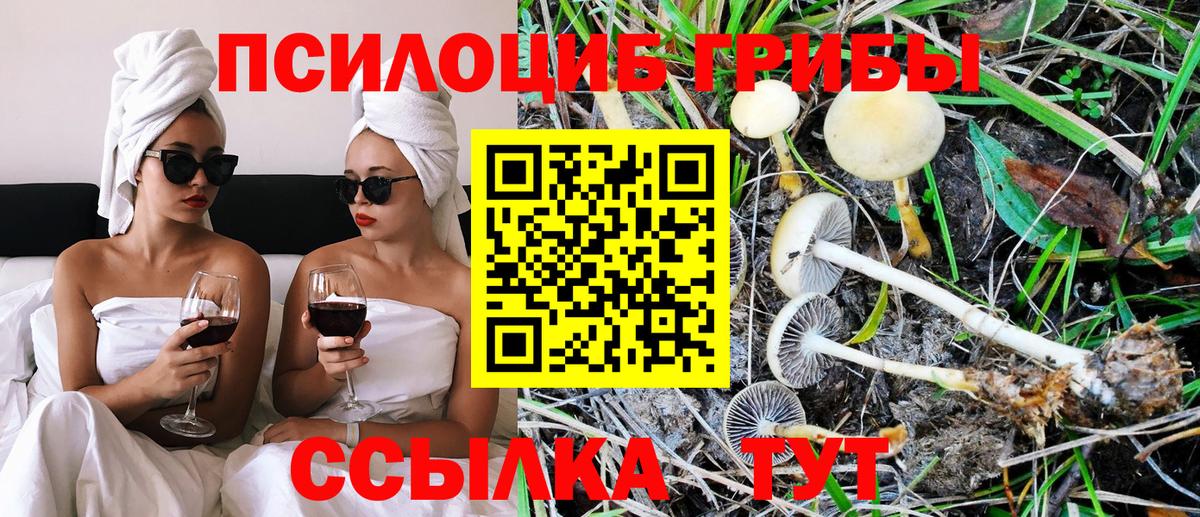 Галлюциногенные грибы ЛСД Курганинск